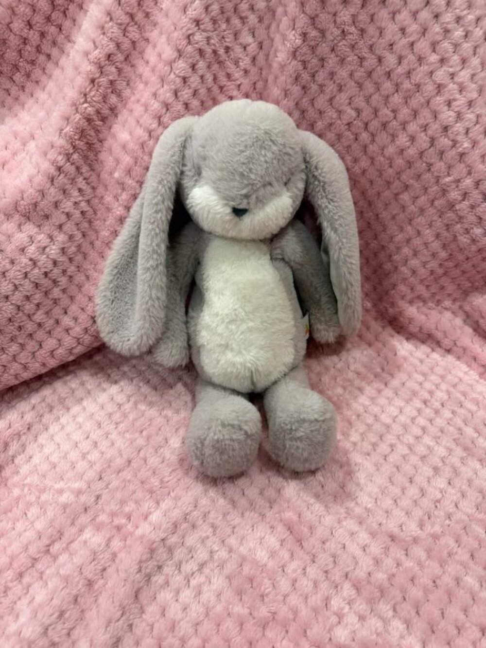Bunnies by the Bay Plush Bunny